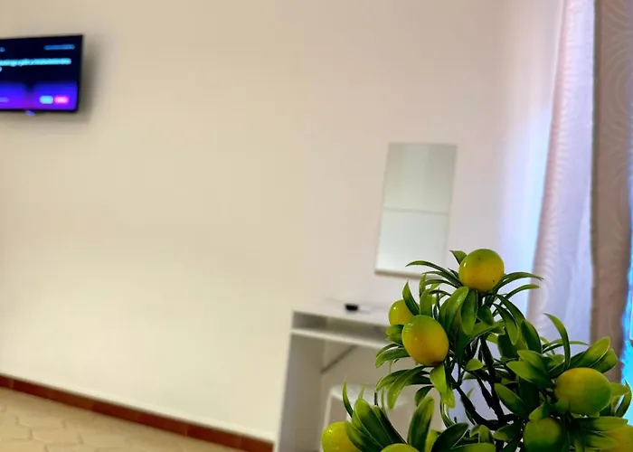 Lemons Roma